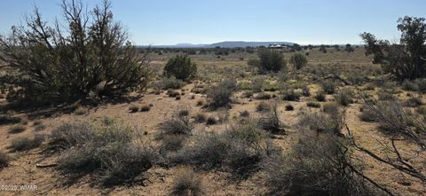 Tiny photo for 5085 Concho Ocho Road, Snowflake, AZ 85937 (MLS # 258835)