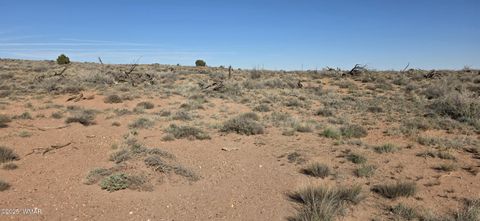 Tiny photo for 5085 Concho Ocho Road, Snowflake, AZ 85937 (MLS # 258835)