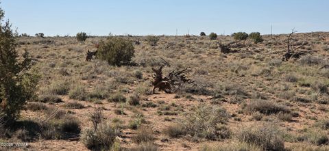 Tiny photo for 5085 Concho Ocho Road, Snowflake, AZ 85937 (MLS # 258835)