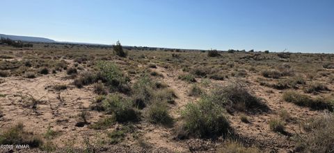 Tiny photo for 5085 Concho Ocho Road, Snowflake, AZ 85937 (MLS # 258835)