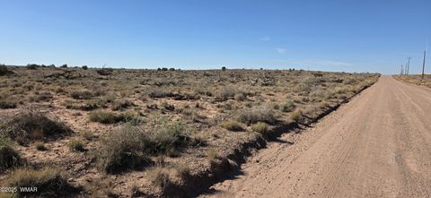 Tiny photo for 5085 Concho Ocho Road, Snowflake, AZ 85937 (MLS # 258835)
