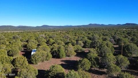 Tiny photo for 10 county road n 3071, Vernon, AZ 85940 (MLS # 261096)
