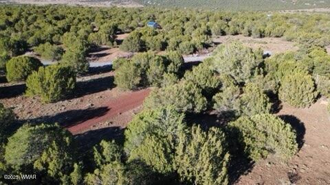 Tiny photo for 10 county road n 3071, Vernon, AZ 85940 (MLS # 261096)