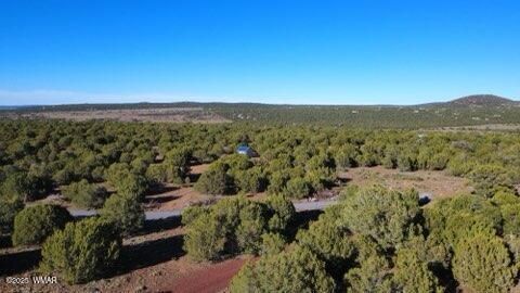 Tiny photo for 10 county road n 3071, Vernon, AZ 85940 (MLS # 261096)