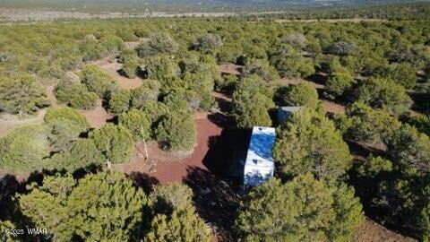 Tiny photo for 10 county road n 3071, Vernon, AZ 85940 (MLS # 261096)