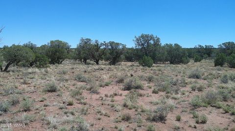 Tiny photo for 4247 E Pinto Road, Snowflake, AZ 85937 (MLS # 257363)