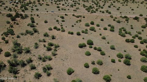 Tiny photo for 4247 E Pinto Road, Snowflake, AZ 85937 (MLS # 257363)