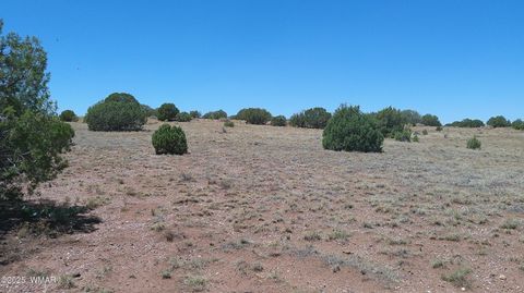 Tiny photo for 4247 E Pinto Road, Snowflake, AZ 85937 (MLS # 257363)