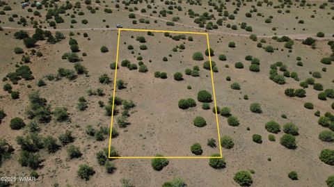 Tiny photo for 4247 E Pinto Road, Snowflake, AZ 85937 (MLS # 257363)