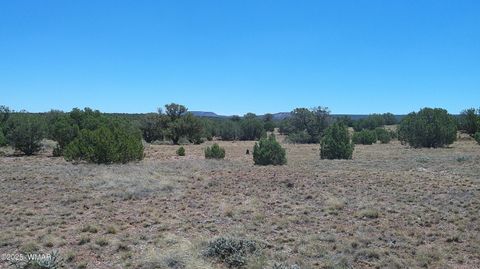 Photo of 4247 E Pinto Road, Snowflake, AZ 85937 (MLS # 257363)