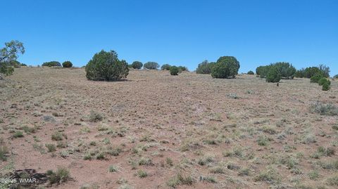Tiny photo for 4247 E Pinto Road, Snowflake, AZ 85937 (MLS # 257363)
