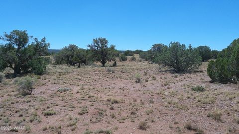 Tiny photo for 4247 E Pinto Road, Snowflake, AZ 85937 (MLS # 257363)