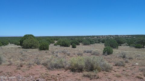 Tiny photo for 4247 E Pinto Road, Snowflake, AZ 85937 (MLS # 257363)
