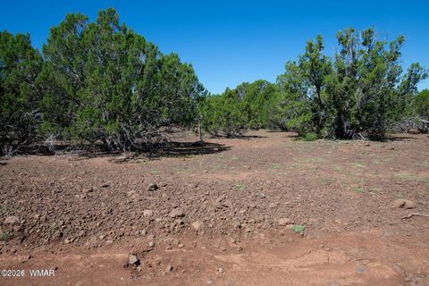 Tiny photo for 1235 Baha Road, Show Low, AZ 85901 (MLS # 259317)
