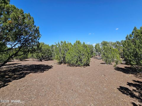Tiny photo for 1235 Baha Road, Show Low, AZ 85901 (MLS # 259317)