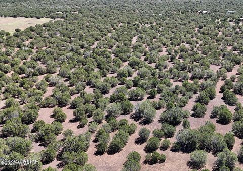 Tiny photo for 1235 Baha Road, Show Low, AZ 85901 (MLS # 259317)