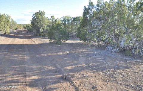 Tiny photo for 1235 Baha Road, Show Low, AZ 85901 (MLS # 259317)