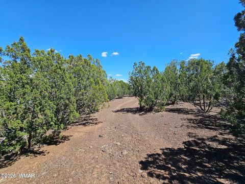 Photo of 1235 Baha Road, Show Low, AZ 85901 (MLS # 259317)
