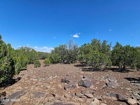 Tiny photo for 1235 Baha Road, Show Low, AZ 85901 (MLS # 259317)