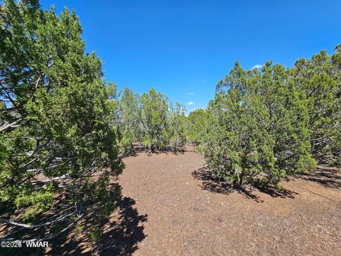 Tiny photo for 1235 Baha Road, Show Low, AZ 85901 (MLS # 259317)