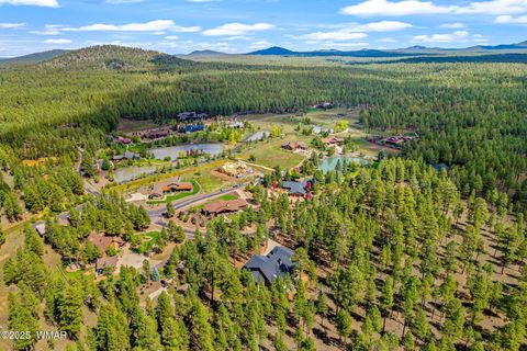 Tiny photo for 9525 Sierra Springs Drive, Pinetop, AZ 85935 (MLS # 258193)