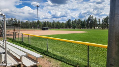 Tiny photo for 578 E Osprey Lane, Pinetop, AZ 85935 (MLS # 257494)