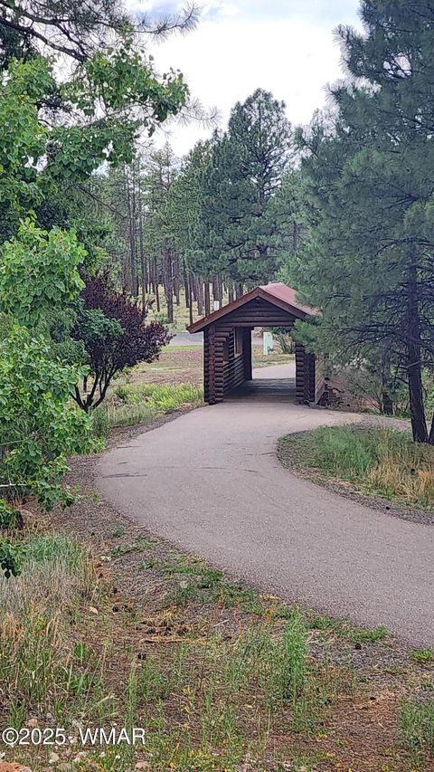 Tiny photo for 578 E Osprey Lane, Pinetop, AZ 85935 (MLS # 257494)