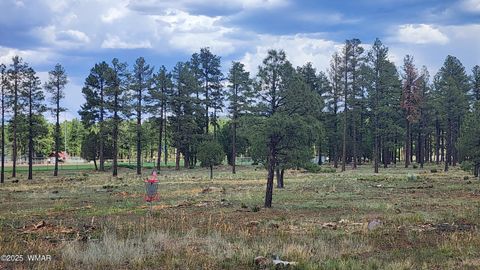 Tiny photo for 578 E Osprey Lane, Pinetop, AZ 85935 (MLS # 257494)