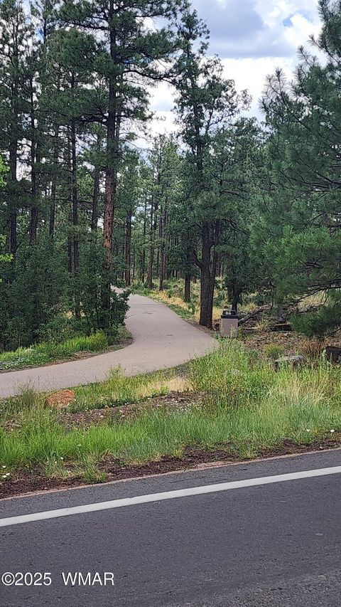 Tiny photo for 578 E Osprey Lane, Pinetop, AZ 85935 (MLS # 257494)
