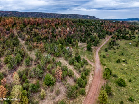Tiny photo for Lot 52 County Road 2225, Nutrioso, AZ 85932 (MLS # 262763)