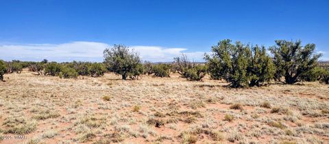 Tiny photo for Lot 44 Ranch Of The White Mountains, Concho, AZ 85924 (MLS # 257202)