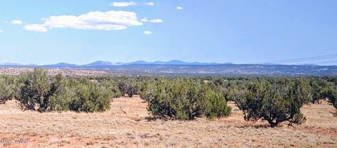 Photo of Lot 44 Ranch Of The White Mountains, Concho, AZ 85924 (MLS # 257202)