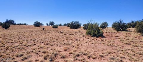 Tiny photo for Lot 44 Ranch Of The White Mountains, Concho, AZ 85924 (MLS # 257202)