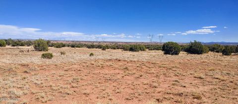Tiny photo for Lot 44 Ranch Of The White Mountains, Concho, AZ 85924 (MLS # 257202)