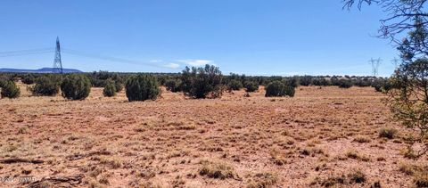 Tiny photo for Lot 44 Ranch Of The White Mountains, Concho, AZ 85924 (MLS # 257202)