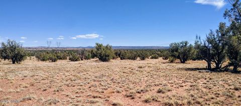 Tiny photo for Lot 44 Ranch Of The White Mountains, Concho, AZ 85924 (MLS # 257202)