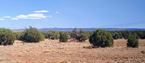 Tiny photo for Lot 44 Ranch Of The White Mountains, Concho, AZ 85924 (MLS # 257202)