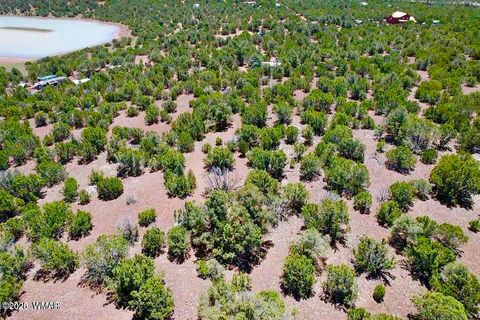 Tiny photo for 18 Co Rd N3321 1.04 Acres, Vernon, AZ 85940 (MLS # 257871)