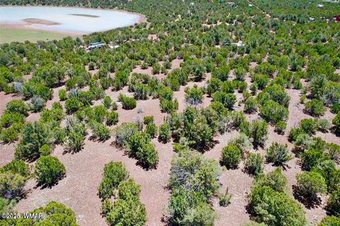 Tiny photo for 18 Co Rd N3321 1.04 Acres, Vernon, AZ 85940 (MLS # 257871)