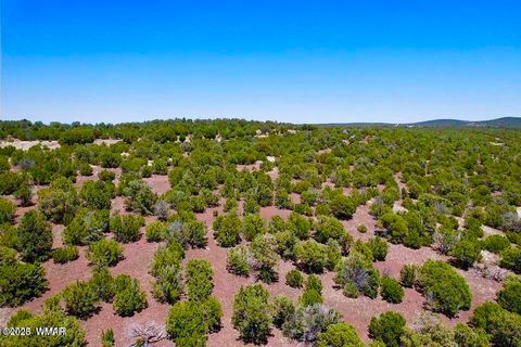 Tiny photo for 18 Co Rd N3321 1.04 Acres, Vernon, AZ 85940 (MLS # 257871)