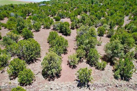 Tiny photo for 18 Co Rd N3321 1.04 Acres, Vernon, AZ 85940 (MLS # 257871)