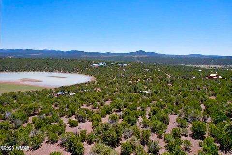 Tiny photo for 18 Co Rd N3321 1.04 Acres, Vernon, AZ 85940 (MLS # 257871)