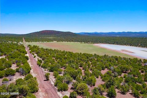 Tiny photo for 18 Co Rd N3321 1.04 Acres, Vernon, AZ 85940 (MLS # 257871)