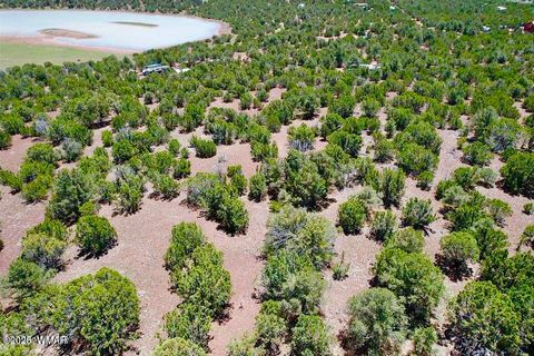 Tiny photo for 18 Co Rd N3321 1.04 Acres, Vernon, AZ 85940 (MLS # 257871)