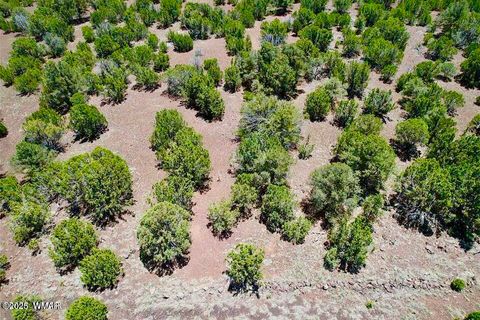 Tiny photo for 18 Co Rd N3321 1.04 Acres, Vernon, AZ 85940 (MLS # 257871)