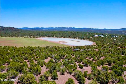 Photo of 18 Co Rd N3321 1.04 Acres, Vernon, AZ 85940 (MLS # 257871)