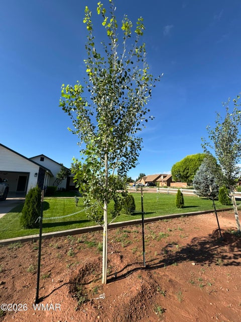 Tiny photo for 775 N Apple Blossom Lane, Snowflake, AZ 85937 (MLS # 261386)
