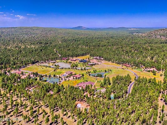 9581 SIERRA SPRINGS DR, PINETOP, AZ 85935 - Image b60fd09ceedd4ea13a6be63a7a16b498/1595166051