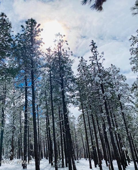 Tiny photo for 9581 Sierra Springs Drive, Pinetop, AZ 85935 (MLS # 242514)