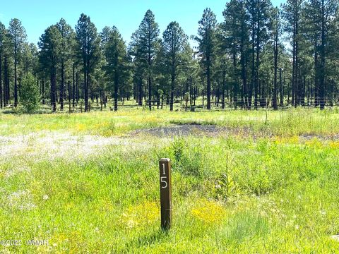 Tiny photo for 9581 Sierra Springs Drive, Pinetop, AZ 85935 (MLS # 242514)